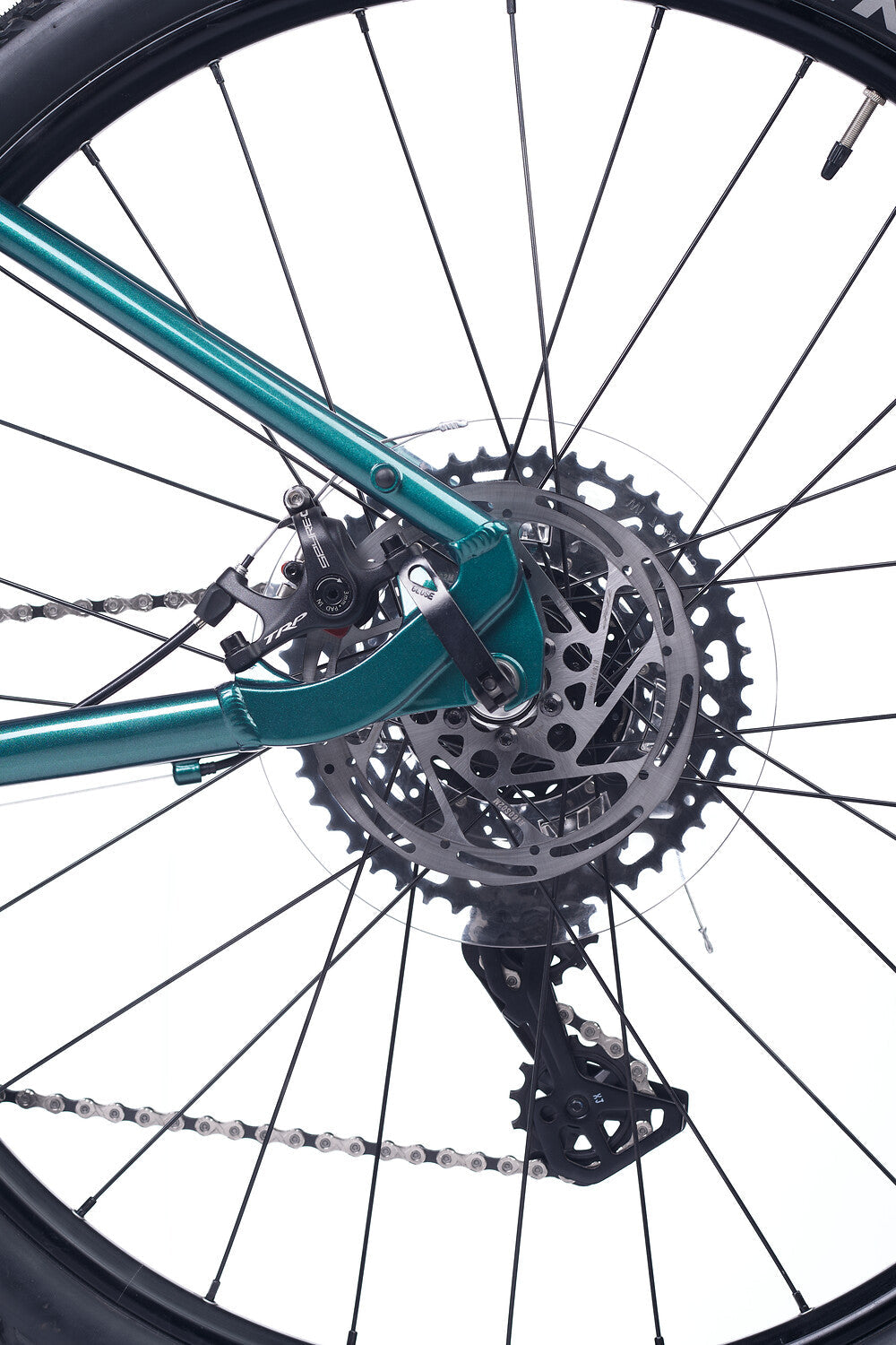 ACCADEMY S-grade Gravel 5 24" Forest (2027)