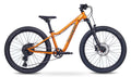 ACADEMY Trail 5 24" Amber (2027)