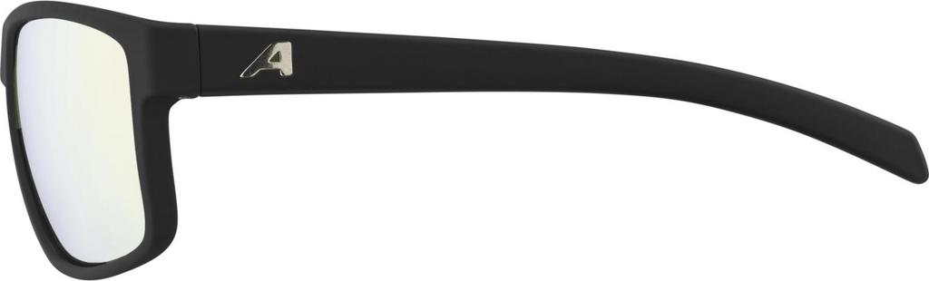 Alpina Nacan I Sonnenbrille schwarz