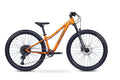 Academy  Trail 7 27,5" Rahmenhöhe 33cm Amber (2027)