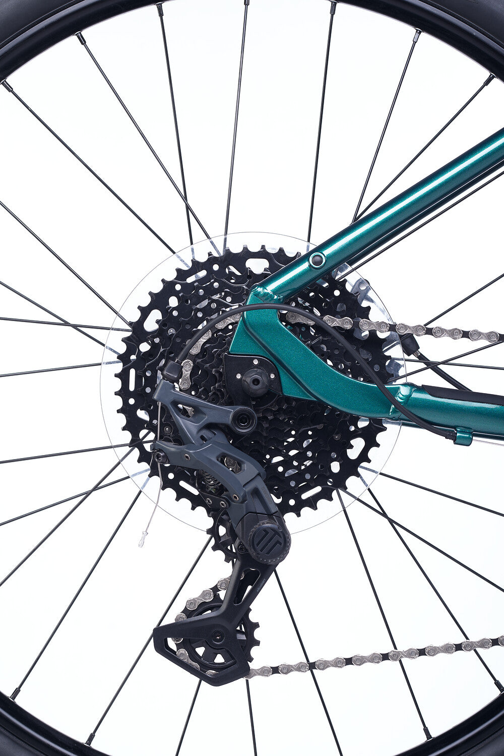 ACCADEMY S-grade Gravel 5 24" Forest (2027)